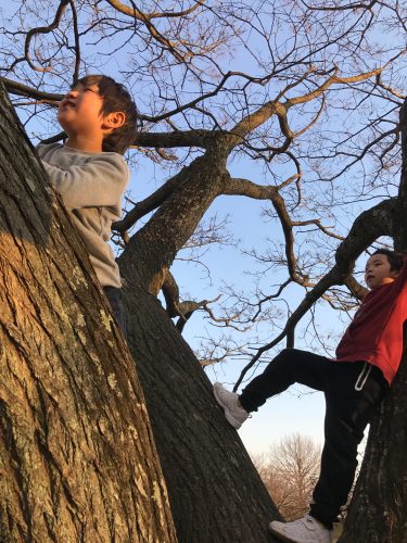 ab2ad718-b126-431b-9916-6770dd42ecc0