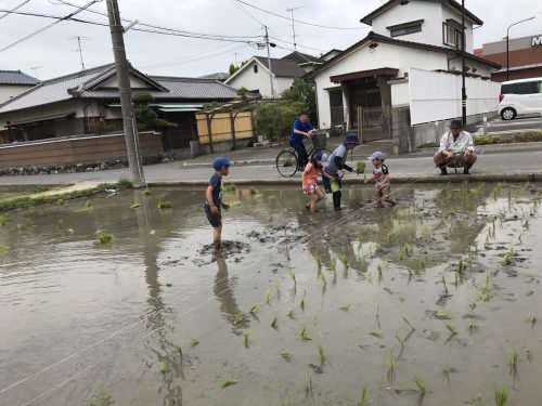 20170625%e7%94%b0%e6%a4%8d%e3%81%88_170626_0024