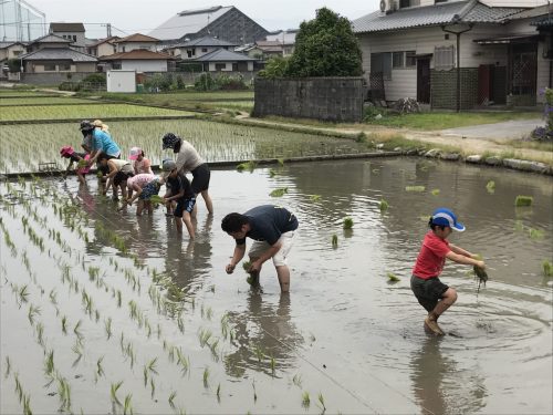 20170625%e7%94%b0%e6%a4%8d%e3%81%88_170626_0025