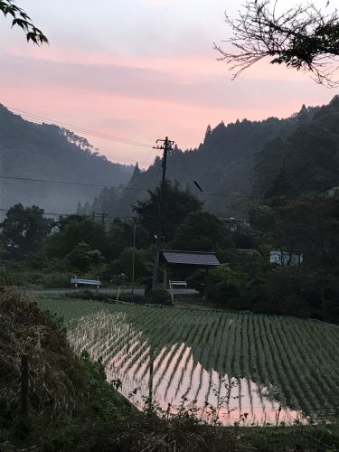 %e7%ab%b9%e5%b1%b1%e8%8d%98-2017_170613_0030