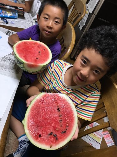 2c4ba90e-aab2-4840-9183-afa266651295