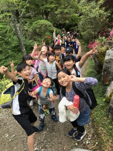 8525171d-f176-45dd-9404-269f4bfd98c4