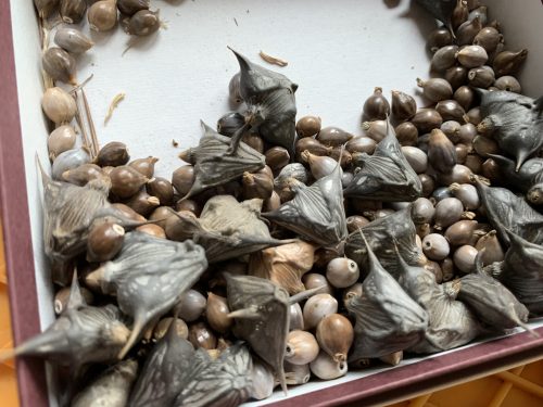 e1ed1cb7-6e45-4afe-b341-b029b3de631c