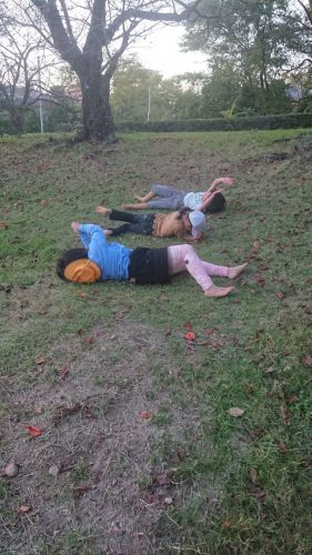 line_415565545731205