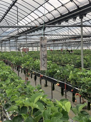 1975eb9a-5705-45bb-ae8e-50433b46120f