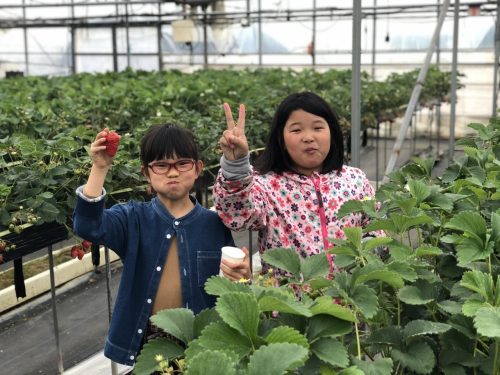 9ea7f71d-e527-4ede-b17b-1ae562f28069