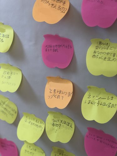 3ef21c39-4cce-4d52-8069-0fc2b9597c20