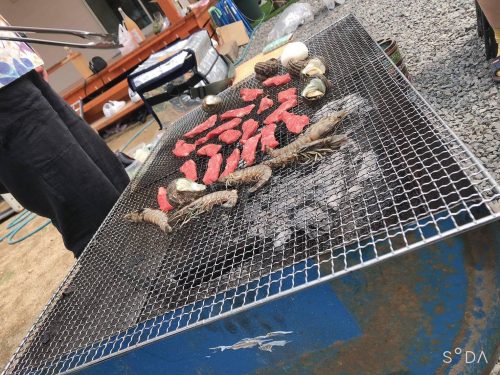 103065820_1065317080528569_3294683583854694368_n