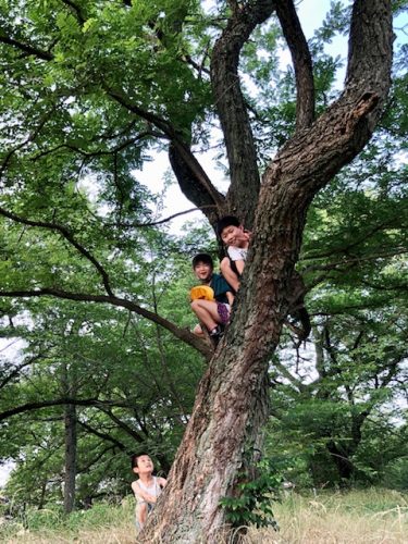 cache_messagep165372