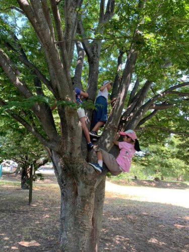 2020-8-19%e6%9c%a8%e7%99%bb%e3%82%8a