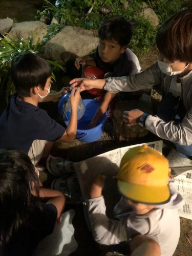 4b624aae-4462-45f5-806e-118fe8606a98