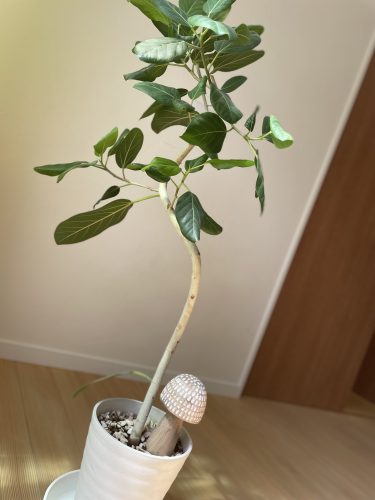 0ab85756-9312-4675-b394-7652cbb11b69