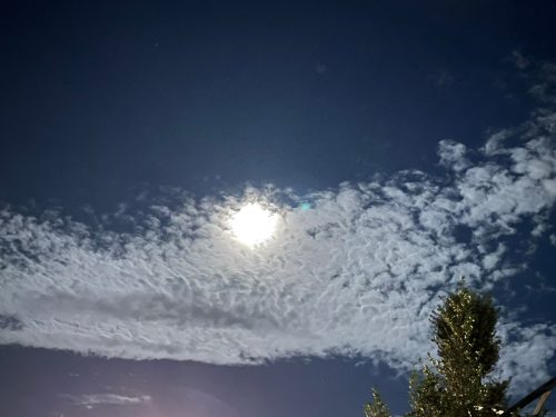 line_album_2021%e5%b9%b49%e6%9c%88_210921_4