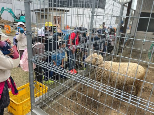 line_album_116%e6%b7%a1%e8%b7%af%e3%83%b6%e5%b3%a0_211108_10